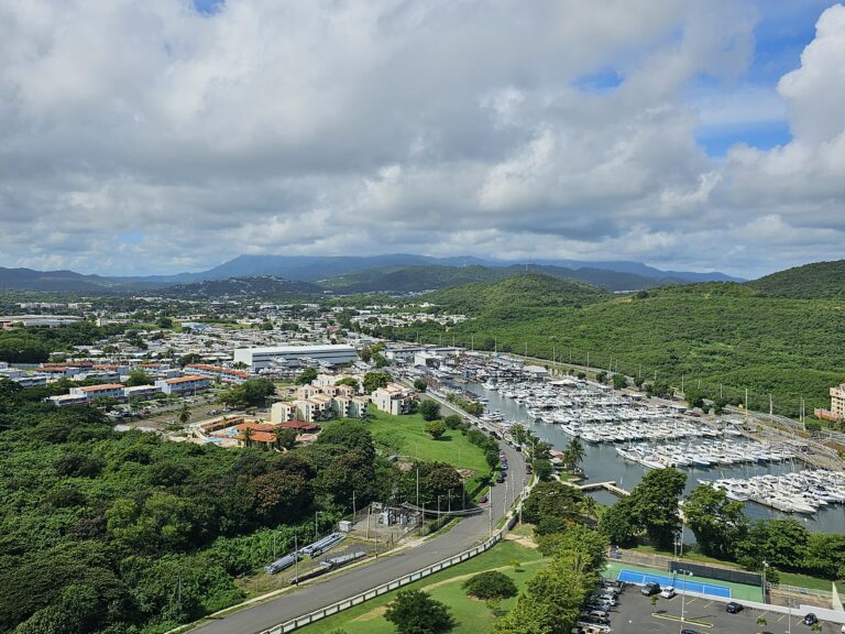 El Yunque National Forest Views