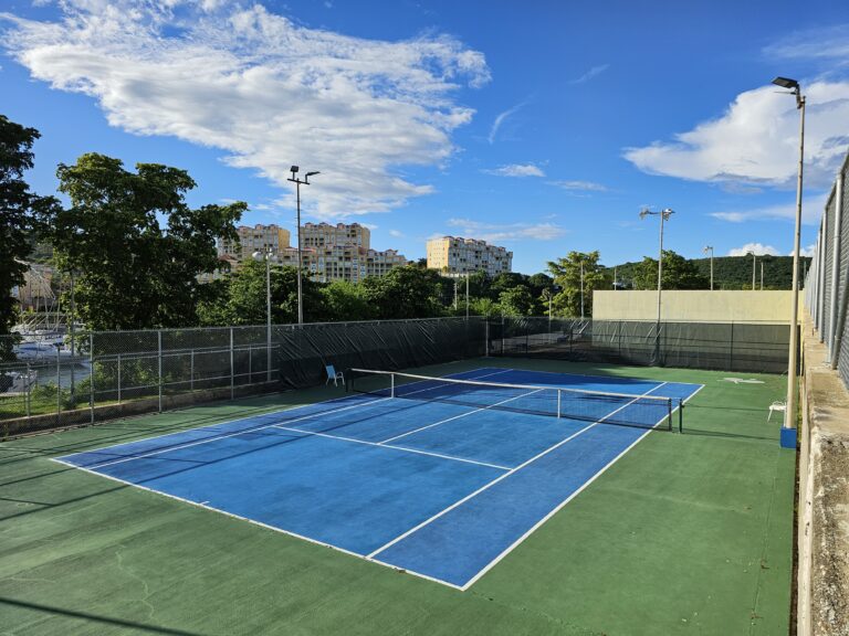 Basketball Court