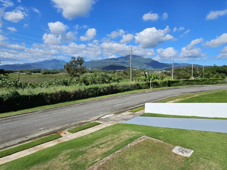 Home Views to El Yunque National Forest