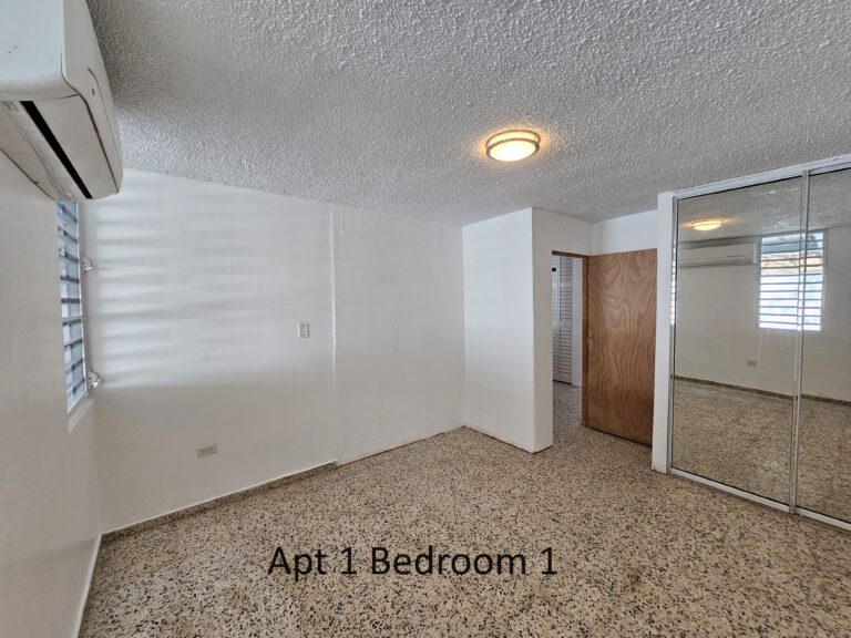 Apt 1 Bedroom 1