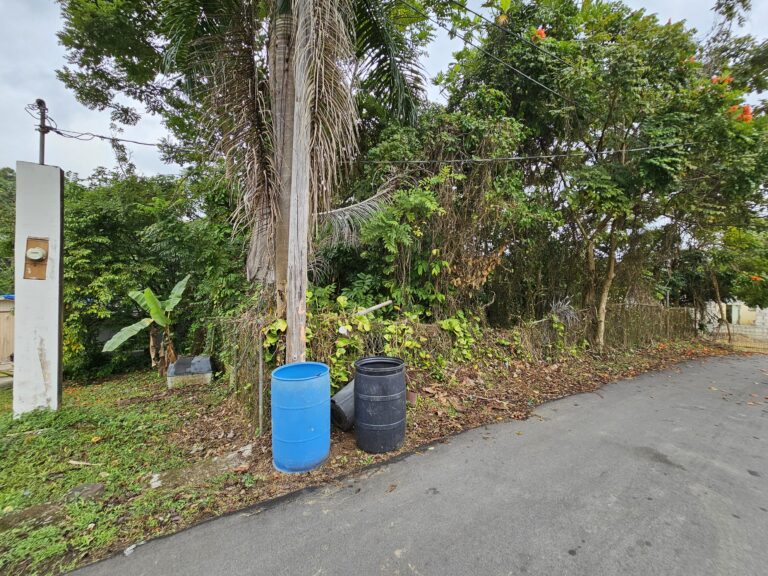 Land in front of House included