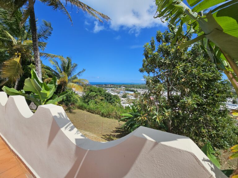 Patio Ocean View!