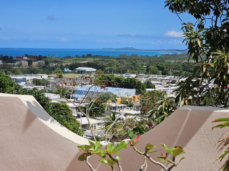 Patio Ocean View!