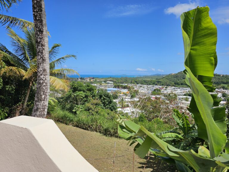 Patio Ocean View!