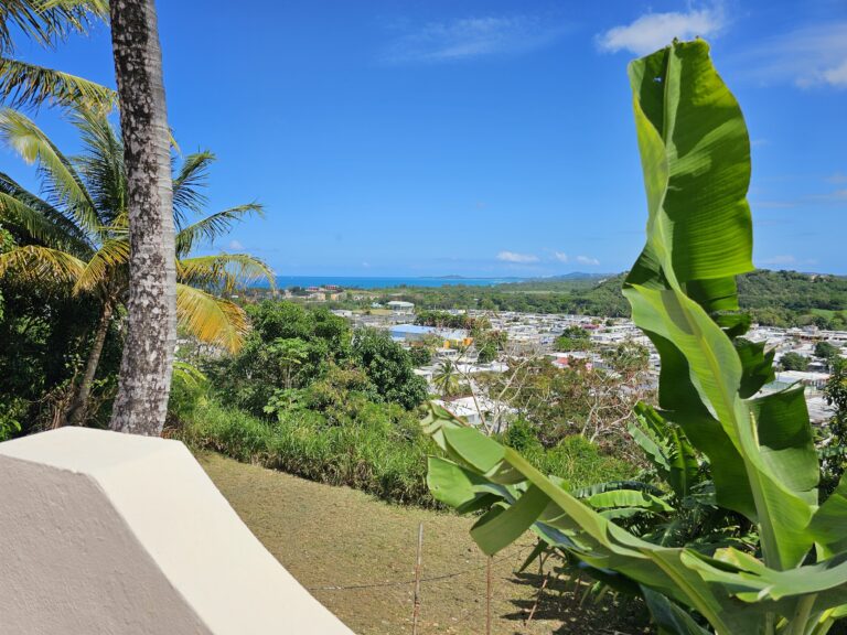 Patio Ocean View!