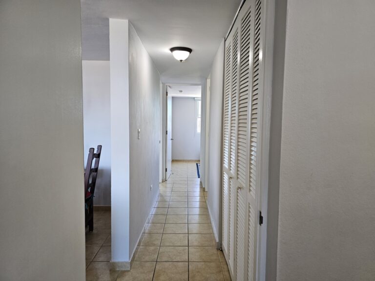 Hallway and Linen Closet