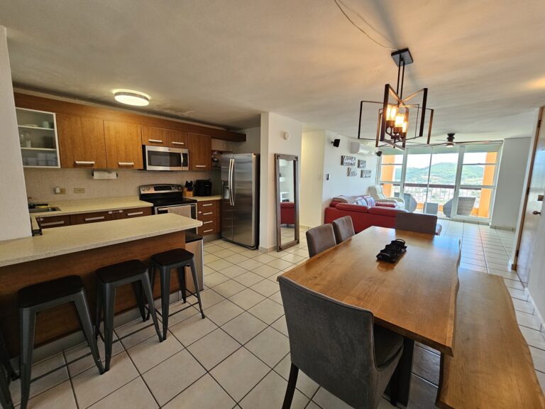 Dinning Area / Kitchen