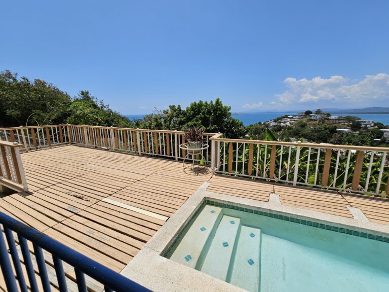 Pool with Ocean View