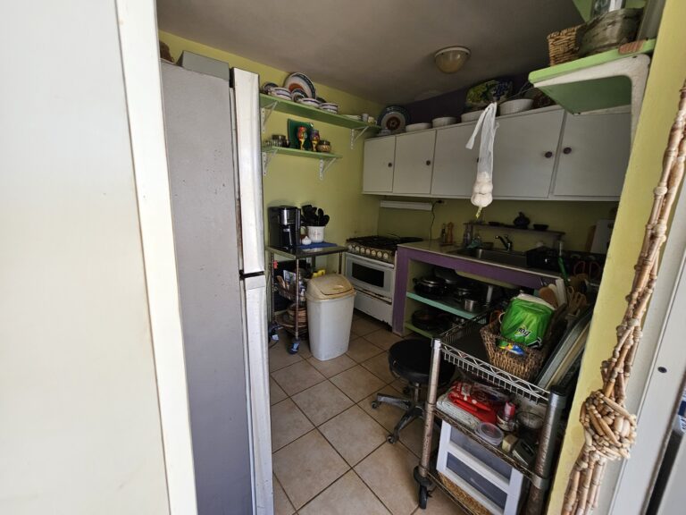 Downstairs Kitchen