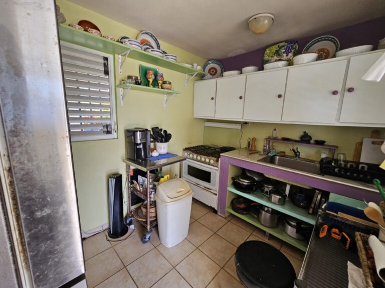 Downstairs Kitchen