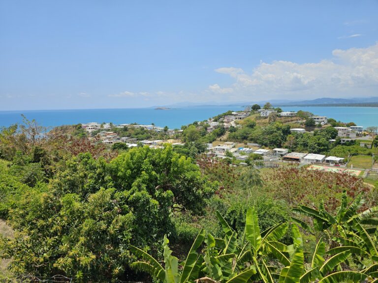 Caribbean Sea View