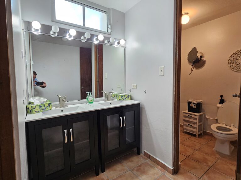 Master Bathroom Double Sinks