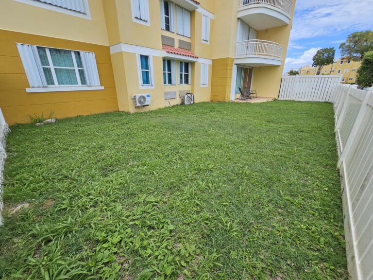 Ground Floor Backyard