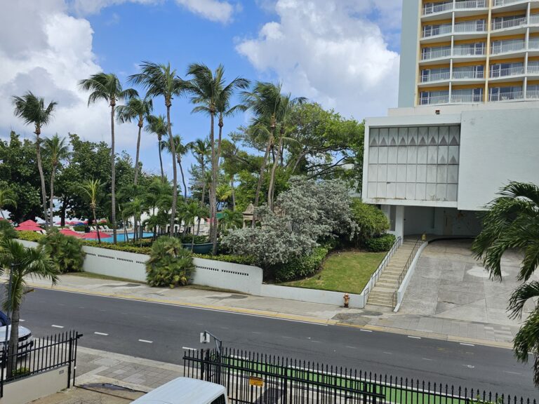 View from Living Room