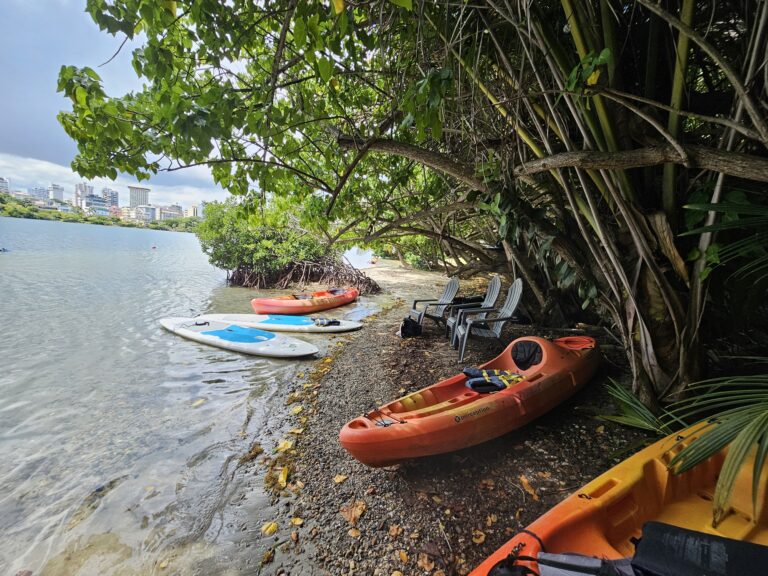 La Laguna Kayaks