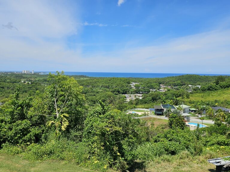 House For Sale Hacienda Margarita Luquillo Puerto Rico