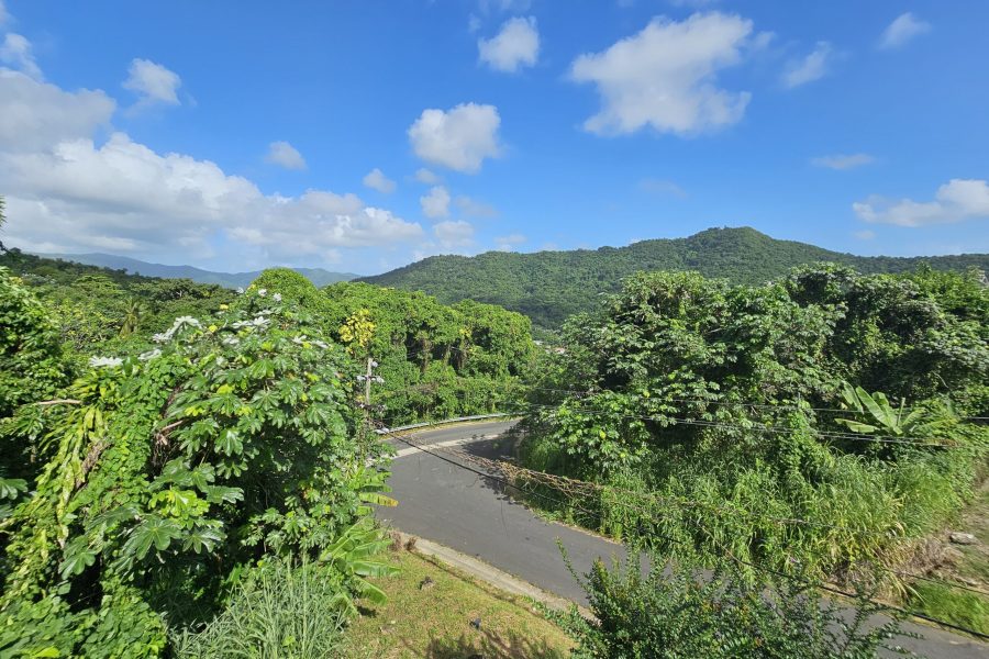 ceiba-340 ceiba-340