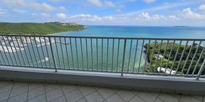 Dos Marinas Balcony View